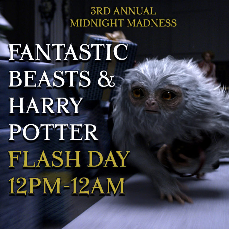 3rd Annual Fantastic Beasts & Harry Potter Midnight Madness