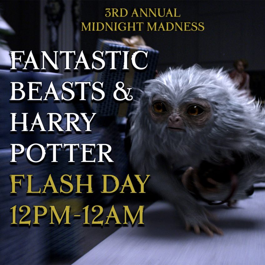 3rd Annual Fantastic Beasts & Harry Potter Flash Day