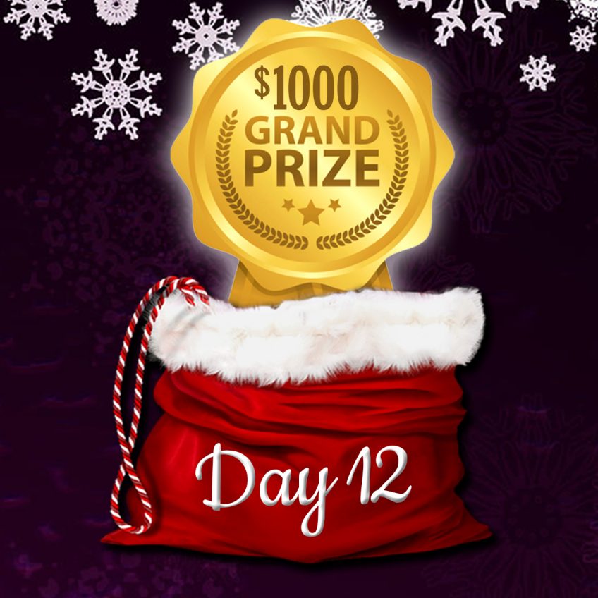 Grand Prize Christmas Giveaway – enter until Dec 31st